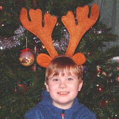 Reindeer Ollie