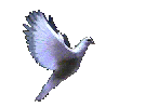 The Peace Family Dove